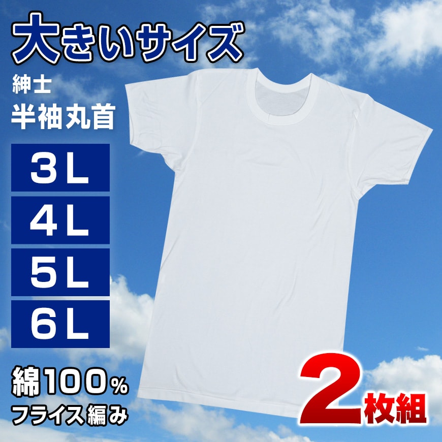 メンズ 半袖 tシャツ 大きいサイズ 綿100% クルーネック 2枚組 3L～6L (下着 シャツ 男性 丸首 白 無地 肌着 インナー インナーウェア 3l 4l 5l 6l)