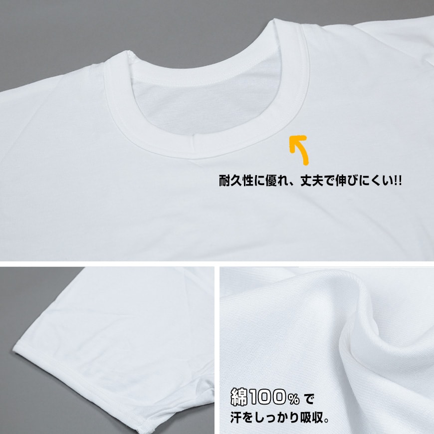 メンズ 半袖 tシャツ 大きいサイズ 綿100% クルーネック 2枚組 3L～6L (下着 シャツ 男性 丸首 白 無地 肌着 インナー インナーウェア 3l 4l 5l 6l)