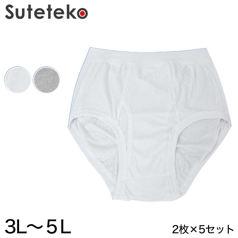 ブリーフ 綿100% 大きいサイズ 2枚組 3L~5L (メンズ 下着 パンツ 綿 ゆったり インナー 白 グレー)