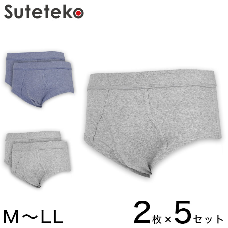 抗菌防臭加工 フライス天スパンブリーフ 2枚組×5セット M~LL (綿100% メンズ 男性 紳士 下着 肌着 インナー オールシーズン ベーシック)
