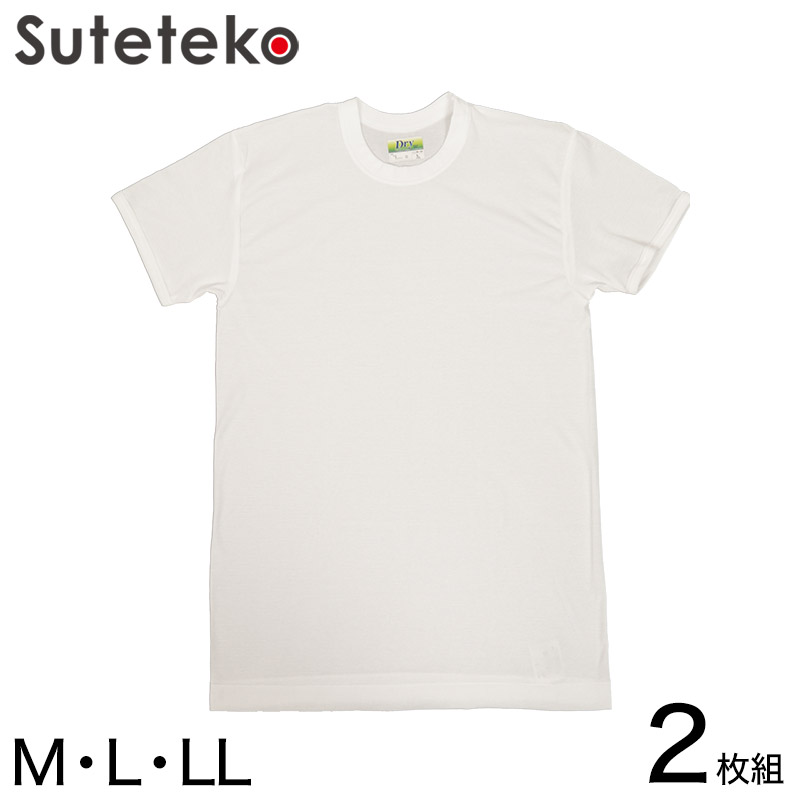 Tシャツ メンズ 半袖 丸首シャツ インナー 2枚組 M～LL (tシャツ 男性 紳士 クルーネック 肌着 白 無地 綿 コットン シャツ 吸汗 速乾 夏 M L LL) (在庫限り)