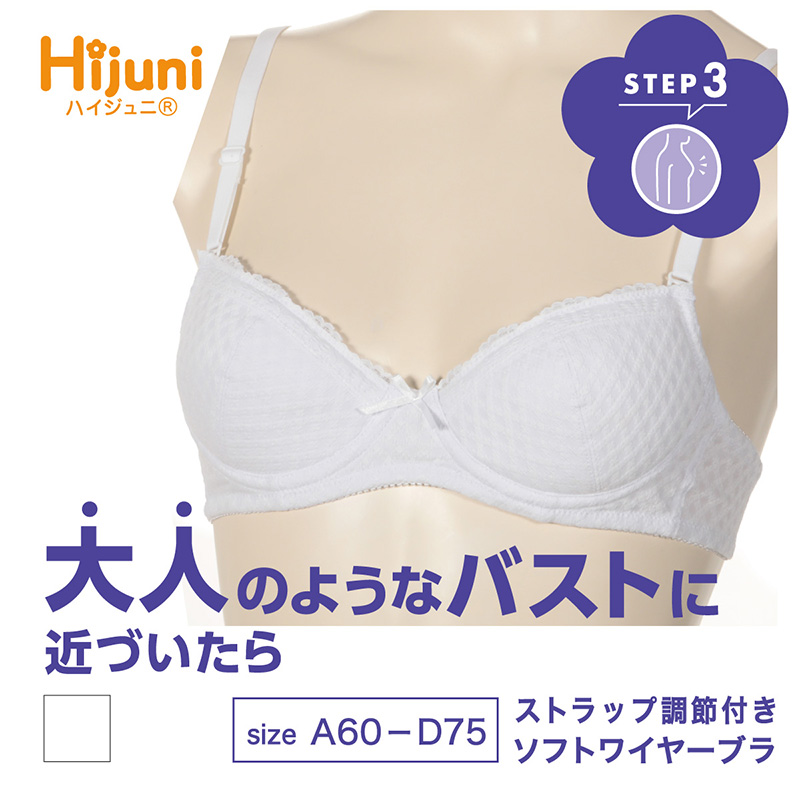 アツギ Hijuni ふんわりカップ超ソフトワイヤーブラ A65～D75 (ATSUGI ハイジュニ ガールズ 女子 女の子 中学生 小学生 ブラジャー)