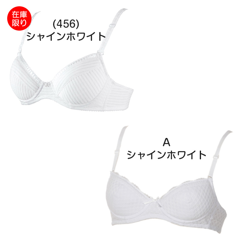 アツギ Hijuni ふんわりカップ超ソフトワイヤーブラ A65～D75 (ATSUGI ハイジュニ ガールズ 女子 女の子 中学生 小学生 ブラジャー)