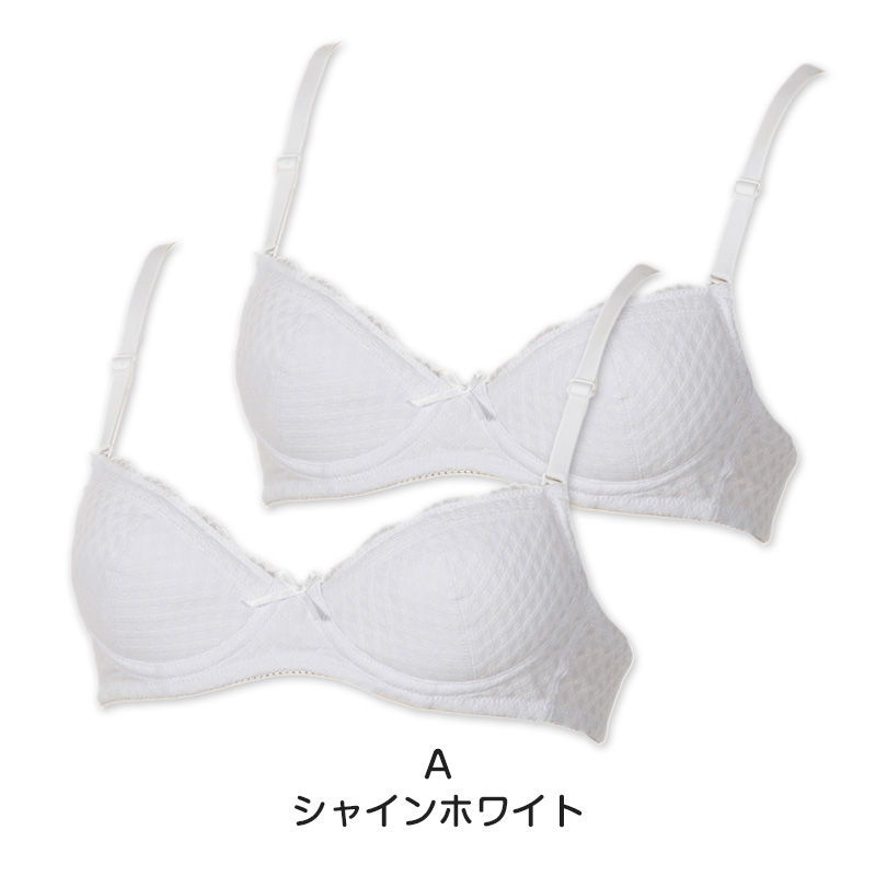骨盤ショーツ 骨盤ベルト付き 補正ショーツ ガードルショーツ 2枚セット M~LL レディース アツギ 骨盤メイク レース パワーネット 吸汗速乾 タグレス ナイロン 2wayトリコット 下腹 お腹 ヒップ 骨盤サポート 伸縮 ストレッチ ショーツガードル