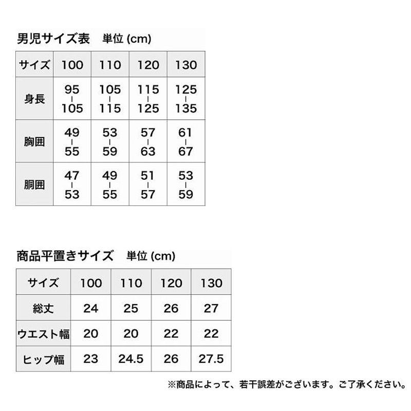 男児 ブリーフ ジュニア 男の子 下着 キッズ パンツ 2枚組 100cm～130cm  恐竜 車 男子 小学生 幼稚園 保育園 プレゼント 100 110 120 130