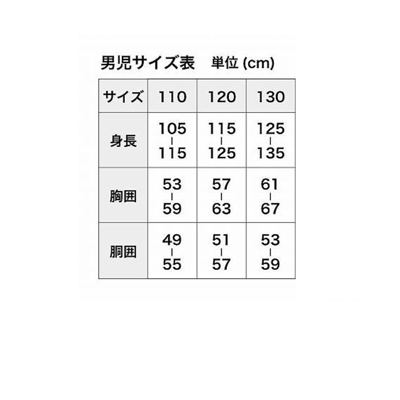 ポケモン 男児 ブリーフ ポケットモンスター スカーレット バイオレット 2枚組 110cm～130cm ( 下着 男の子 パンツ ホゲータ ニャオハ クワッス 入学祝い 入園祝い プレゼント キャラクター 小学生 )