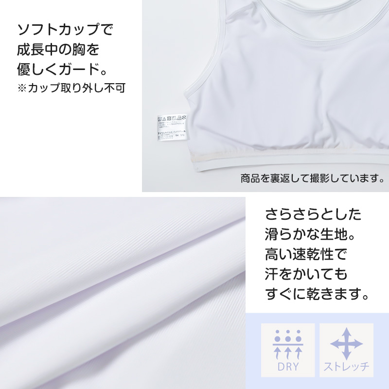 インナー 3分袖 レディース 綿混 起毛 シャツ 丸首 M L LL 下着 肌着 女性 綿 コットン 半袖 トップス 薄手 アンダーウェア 保湿 静電気対策 ストレッチ 洗濯タグなし 快適