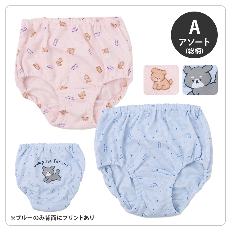 ANAP ジュニア ショーツ 2枚組 綿混 ストレッチ 女の子 ガールズ パンツ 下着 140 150 160 165cm 肌着 インナー キッズ 女児 小学生 中学生 スクールショーツ スクールインナー 通学 学校 体育 部活 動きやすい 伸縮 フィット 洗い替え 2P 子供