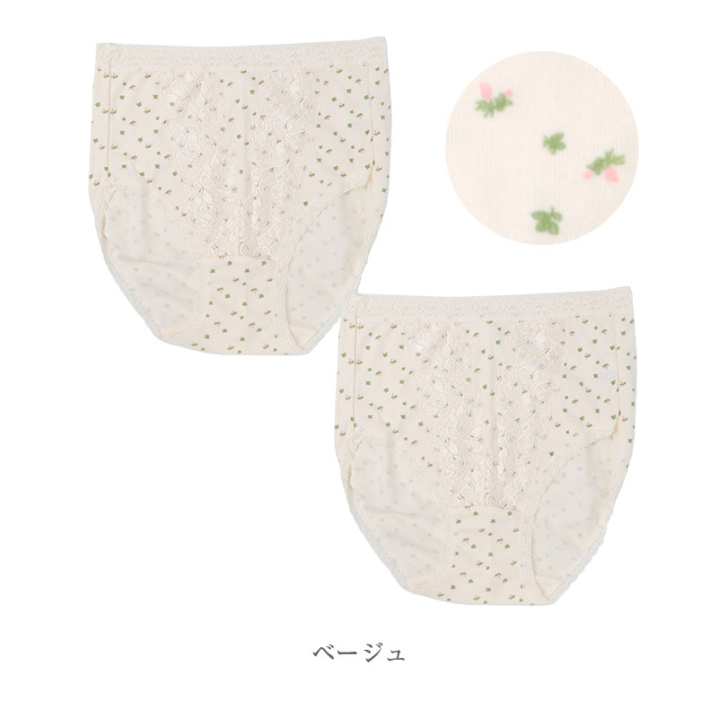 ショーツ レディース 綿100% 2枚組 椿オイル加工 スムス針抜き コットン100 女性下着 大きいサイズ M L LL 3L 4L 婦人下着 パンツ インナー 肌着 レディースショーツ 綿ショーツ コットンショーツ やわらか ソフト 肌触り デイリー 普段使い