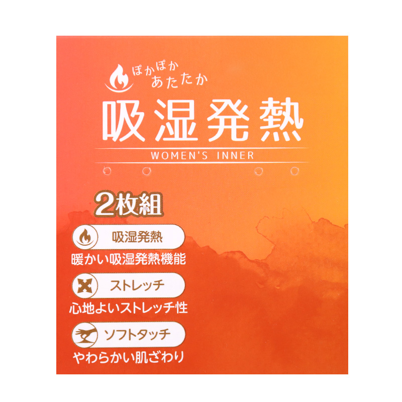 あったか 微起毛 ショーツ レディース 2枚組 吸湿発熱 M L LL あったかインナー 暖かい 下着 起毛 パンツ パンティ 寒さ対策 冷え対策 女性 インナー 婦人 肌着 防寒 ストレッチ 秋 冬 深め 深ばき まとめ買い