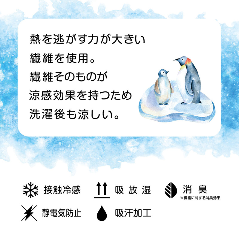 ソックス ひざ下丈 ショートソックス レディース 靴下 サマーソックス アツギ 冷やしソックスはじめました 持続冷感 22-25cm (冷感 UV対策)