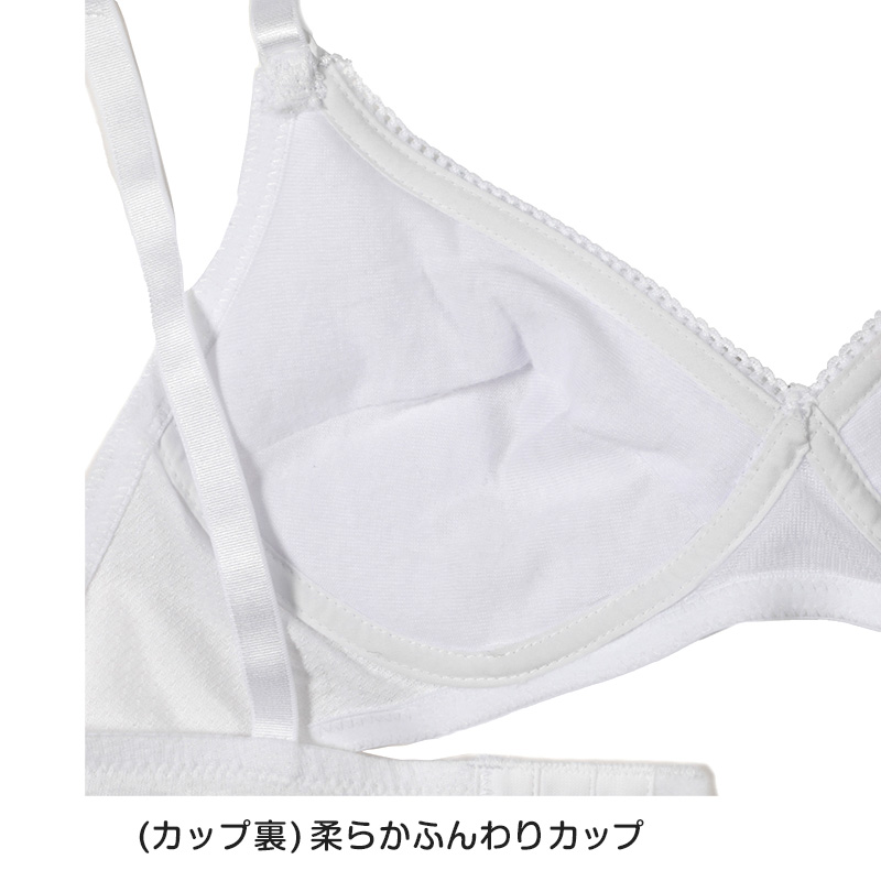 ノンワイヤーブラ ブラジャー ハーフトップ シームレス ブラ 2枚セット M L LL 3L 4L 下着 3l 4l LL インナー モールドカップ シンプル 無地 e-select ひびきにくい アウターにひびかない レディース アツギ 2枚組 まとめ売り
