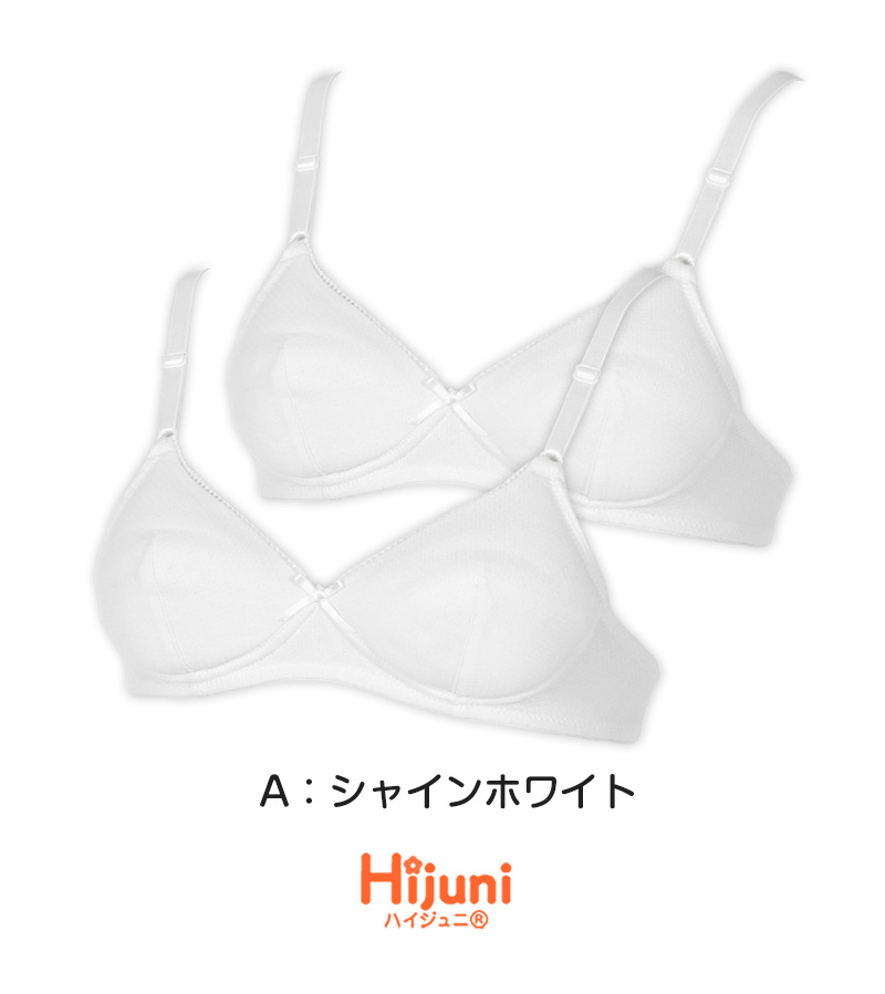 ノンワイヤーブラ ブラジャー ハーフトップ シームレス ブラ 2枚セット M L LL 3L 4L 下着 3l 4l LL インナー モールドカップ シンプル 無地 e-select ひびきにくい アウターにひびかない レディース アツギ 2枚組 まとめ売り