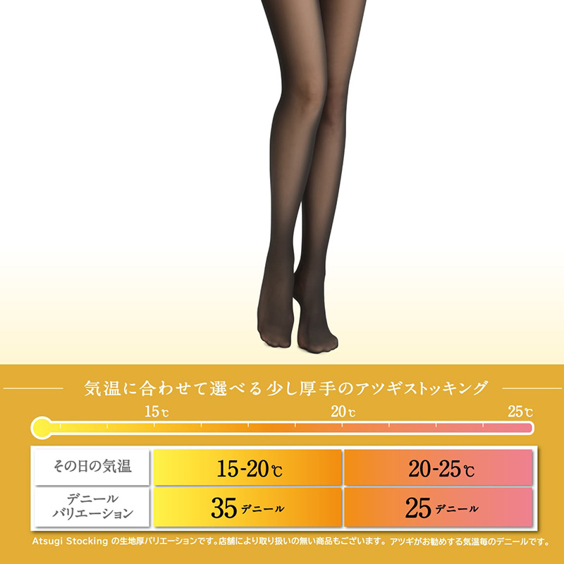 ストッキング アツギ レディース アツギストッキング 25デニール パンティストッキング 2足組 美しい M-L・L-LL ベージュ 肌色 黒 パンスト パンティーストッキング デイリー 透け感
