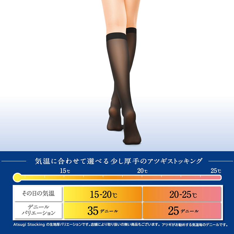 ストッキング アツギ レディース アツギストッキング 35デニール パンティストッキング 2足組 美しい M-L・L-LL ベージュ 肌色 黒 パンスト パンティーストッキング デイリー 透け感