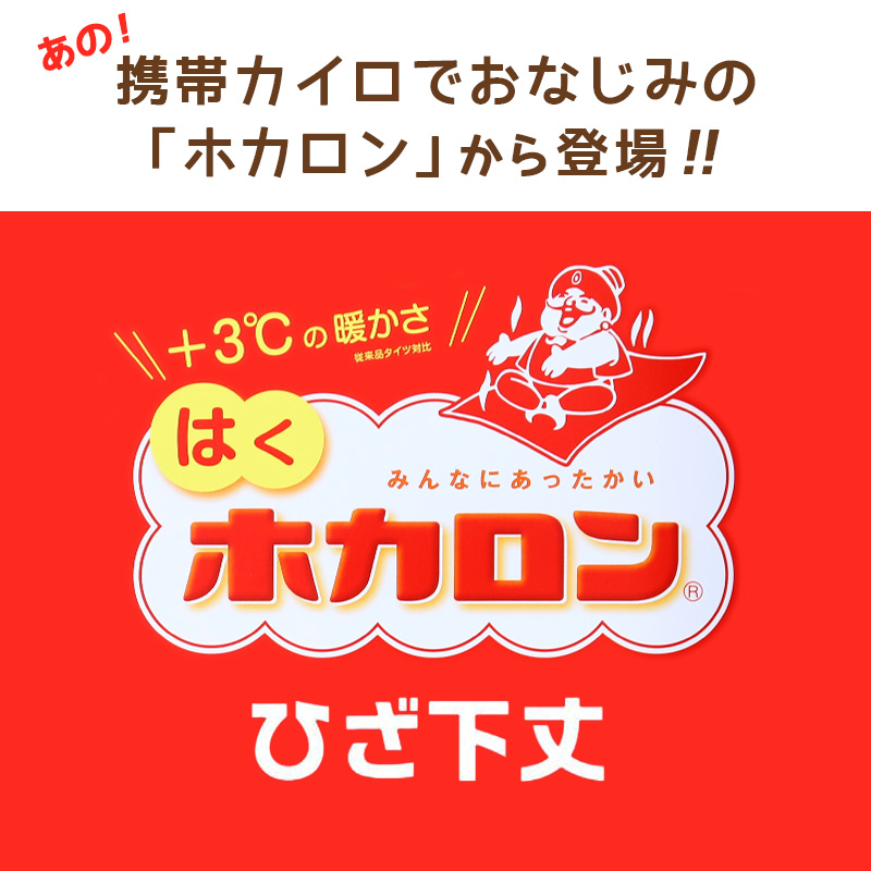 レディース クルーソックス 裏起毛 靴下 ソックス クルー丈 ホカロン あたたかい あったかい 防寒 260デニール相当 22-25cm 暖かい 保温 アツギ 黒 atsugi 冬 秋 寒さ対策
