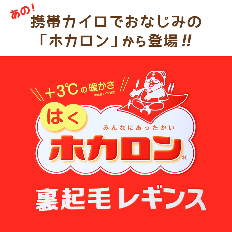 レディース ハイソックス 靴下 ひざ下 2足組 ソックス ひざ下丈 ホカロン あたたかい あったかい 防寒 110デニール 22-25cm 暖かい 蓄熱 アツギ 黒 atsugi 冬 秋 寒さ対策 2p