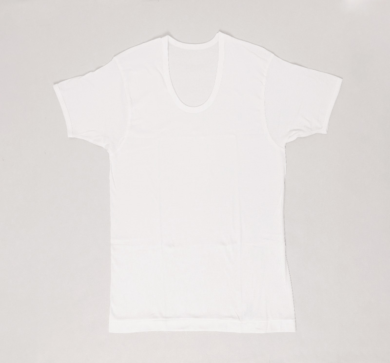 メンズ 半袖 綿100% V首 インナー tシャツ 2枚組 アツギ 半袖シャツ vネック コットン 綿 肌に優しい M L LL 敏感肌 紳士 肌着 下着 男 アンダーウェア まとめ買い