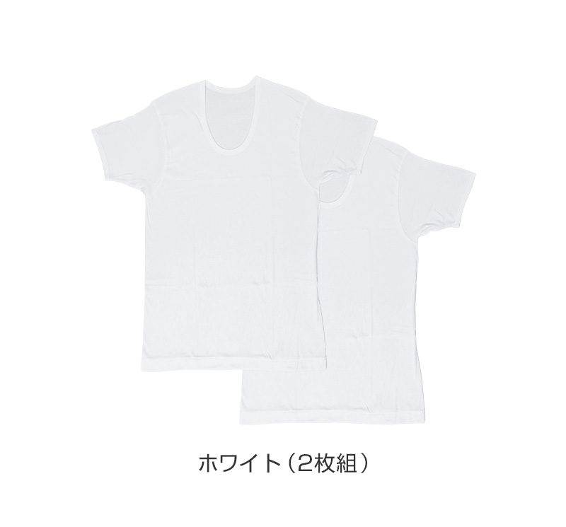 メンズ 半袖 綿100% V首 インナー tシャツ 2枚組 アツギ 半袖シャツ vネック コットン 綿 肌に優しい M L LL 敏感肌 紳士 肌着 下着 男 アンダーウェア まとめ買い