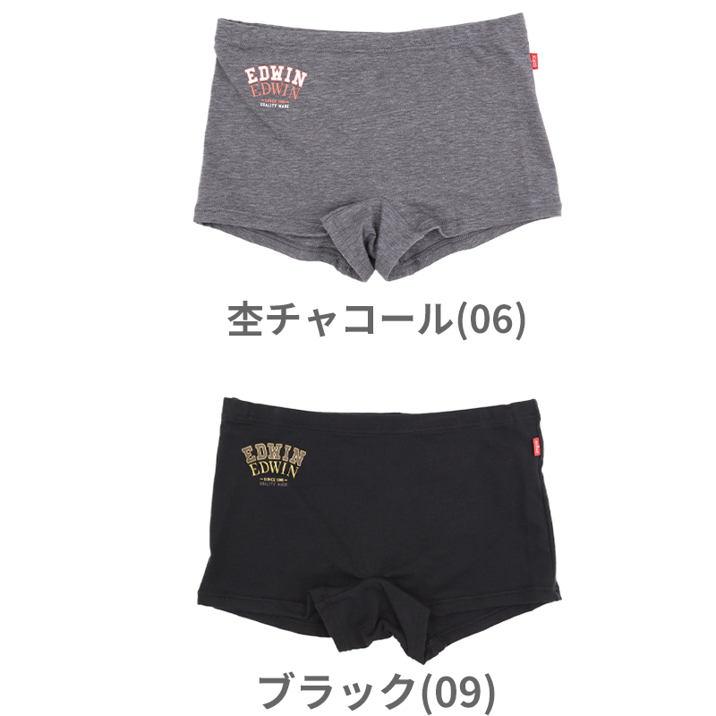 レディース ノンワイヤーブラ モールドカップブラ ハーフトップ EDWIN 綿 フィット感 着け心地 快適 優しい肌触り ストレッチ 動きやすい 快適 下着 インナー ブラジャー ロゴ入り 女子 M L 黒 グレー M・L