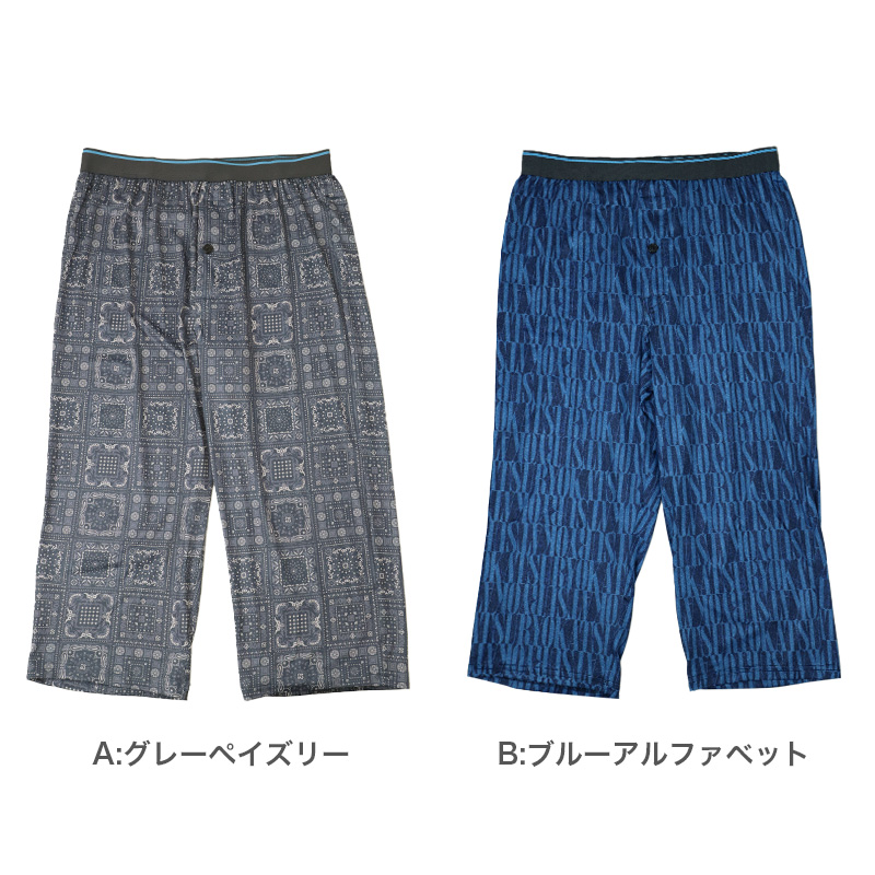 BVD メンズ インナー 大きいサイズ 半袖 Vネック tシャツ 2枚組 5L・6L V首 下着 肌着 男性 紳士 白 ホワイト