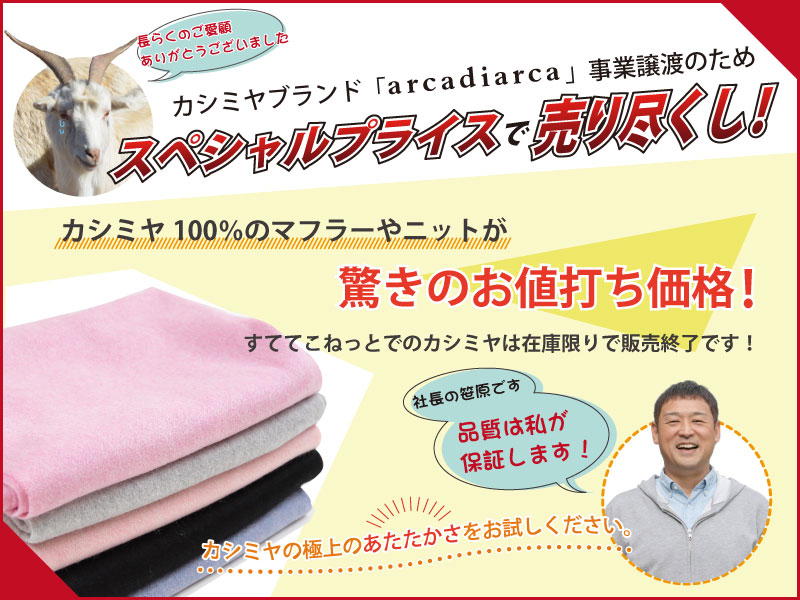 カシミヤ100% 丸首 セーター レディース M～3L (カシミア カシミヤ100 ニット カシミア100％ プルオーバー 無地 薄手 アルカディアルカ) (送料無料) (在庫限り)