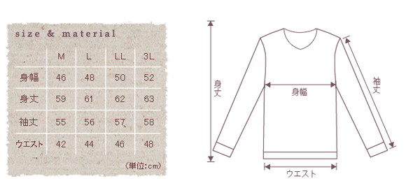 アルカディアルカ レディース 長袖 Vネックセーター M～3L (カシミア カシミア100% vネック Vネック きれいめ オフィス カジュアル スクール トップス 大きいサイズ プルオーバー 秋冬) (送料無料) (在庫限り)