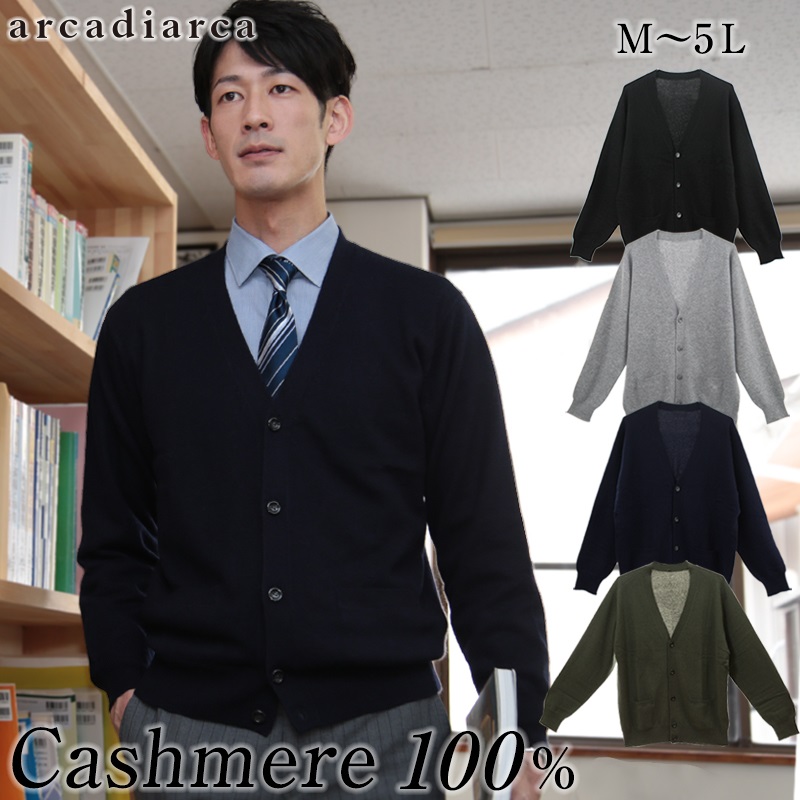 カシミヤ100% Vネック カーディガン メンズ M～5L (カシミヤ カシミア セーター 男 ニット vネック V首 カシミヤ100 カシミア100％ 無地 防寒 大きいサイズ ギフト プレゼント arcadiarca) (送料無料) 【在庫限り】