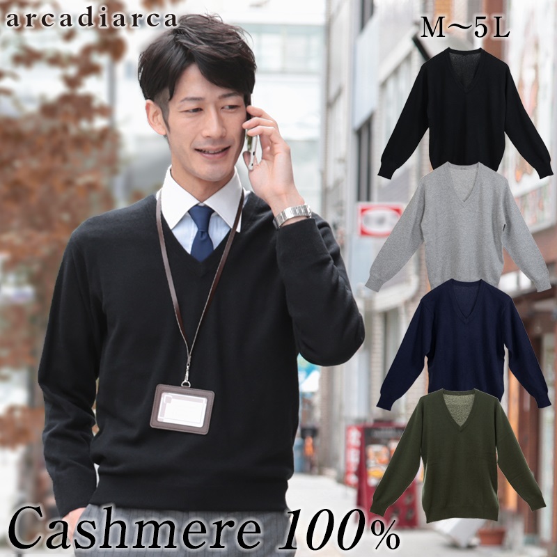 カシミヤ100% Vネック セーター メンズ M～5L (カシミヤ カシミア セーター 男 ニット vネック V首 カシミヤ100 カシミア100％ 無地 防寒 大きいサイズ ギフト プレゼント arcadiarca) (送料無料) 【在庫限り】