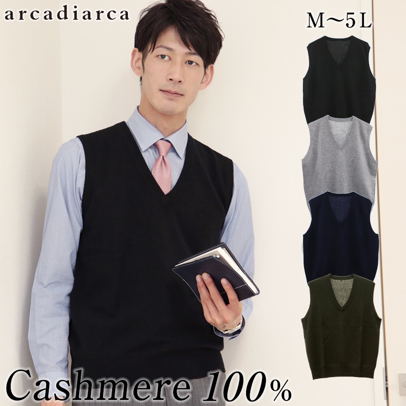 カシミヤ100% Vネックベスト メンズ M～5L (カシミヤ カシミア セーター 男 ニット ベスト カシミヤ100 カシミア100％ 無地 防寒 大きいサイズ ギフト プレゼント arcadiarca) (送料無料) 【在庫限り】