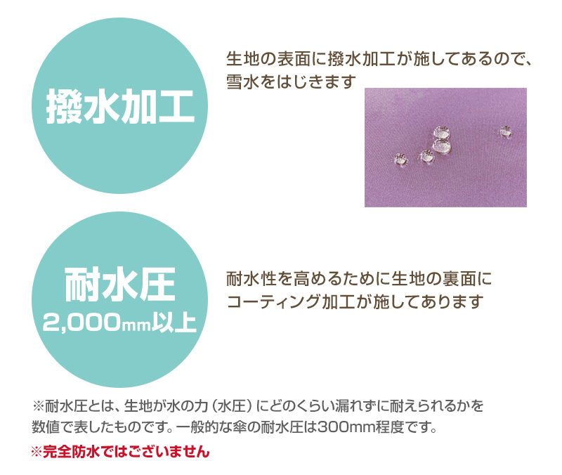 カロライン 子供 スノーパンツ スキーパンツ スキーウェア パンツ単体 100cm~160cm (こども 子ども 男女兼用 ボトムス ボトム キッズ ジュニア 撥水)