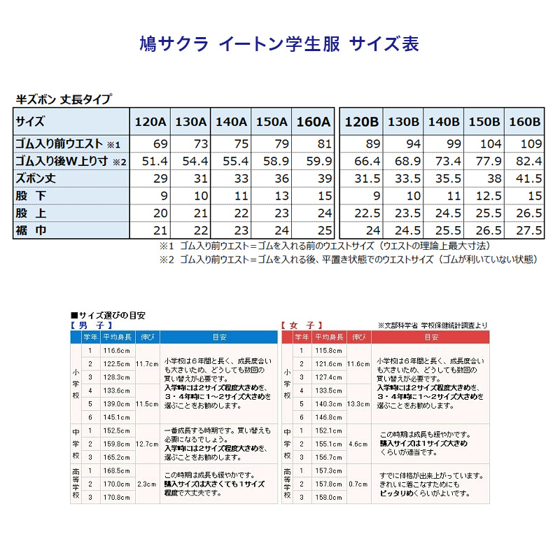 制服 半ズボン 小学生 鳩サクラ 男子 120cmA・130cmA (学生服 ハトサクラ ハトザクラ 男の子 ボーイズ 男児 低学年 小学生制服 小学校 120cmA 130cmA) (取寄せ)