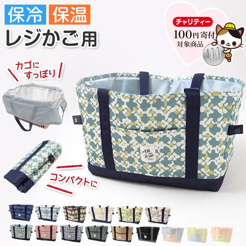 チャンピオン メンズ ボクサーブリーフ 抗菌防臭 吸汗速乾 前開き 2枚入りパック M～LL champion ボクサー 下着 男性 パンツ おしゃれ ストレッチ
