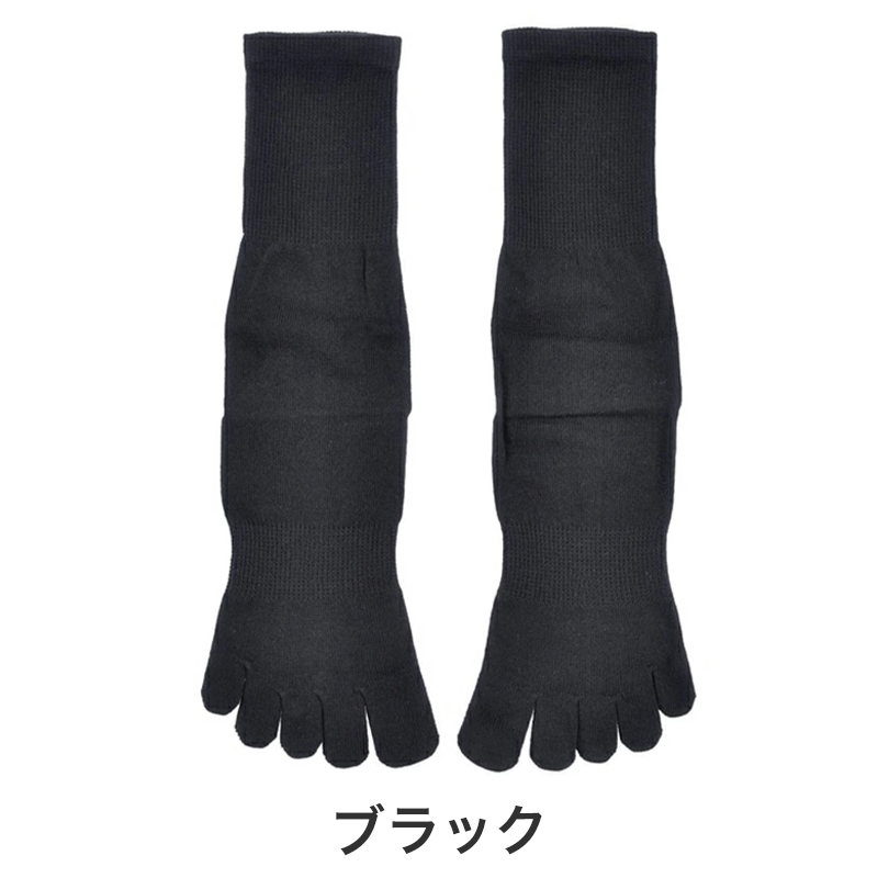 福助 タイツ 80デニール 3足組 M-L・L-LL デイリー満足 黒 ブラック レディース 秋 冬 (在庫限り)