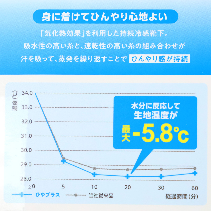 靴下 レディース ソックス スニーカーソックス コンバース ショート丈 甲メッシュ 3足組 メッシュ 通気 ムレにくい 蒸れにくい つま先補強 かかと補強 丈夫 23-25cm ブランドソックス スポーツ カジュアル 通勤 通学 デイリー 女性 ブランド靴下 レディースソックス 福助