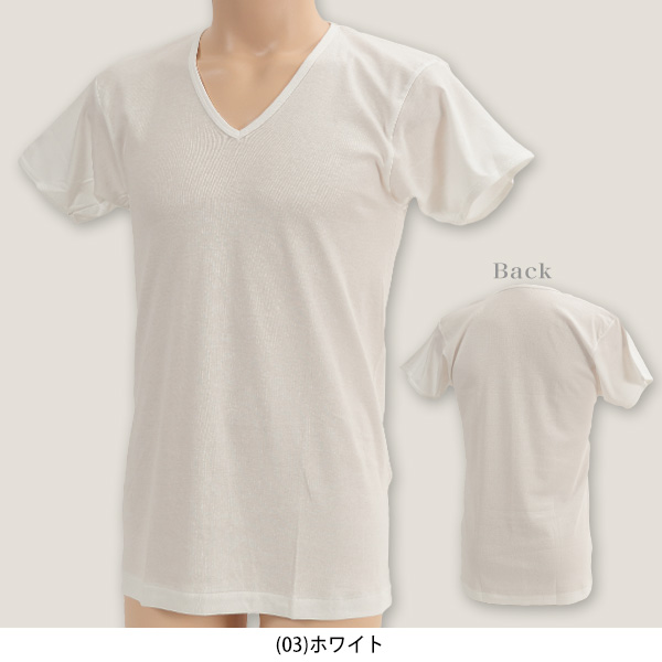 グンゼ 綿 肌着 メンズ 半袖 2枚組 M~LL (綿100% インナー tシャツ 下着 インナーシャツ 白 無地 シャツ v首 男性) (取寄せ)