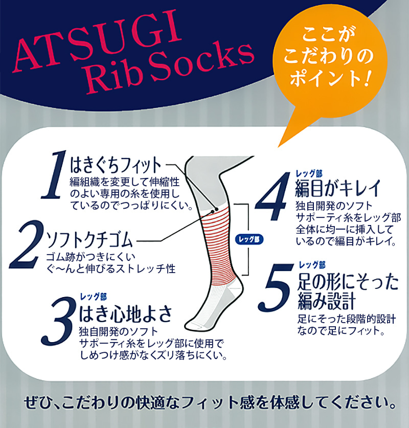 アツギ Rib Socks ソフトフィット 紳士ハイソックス 2足組 24-26cm・26-28cm (ATSUGI メンズ 紳士 男性 リブソックス ソックス 靴下 くつ下 くつした 白ソックス シンプル 無地) (在庫限り)