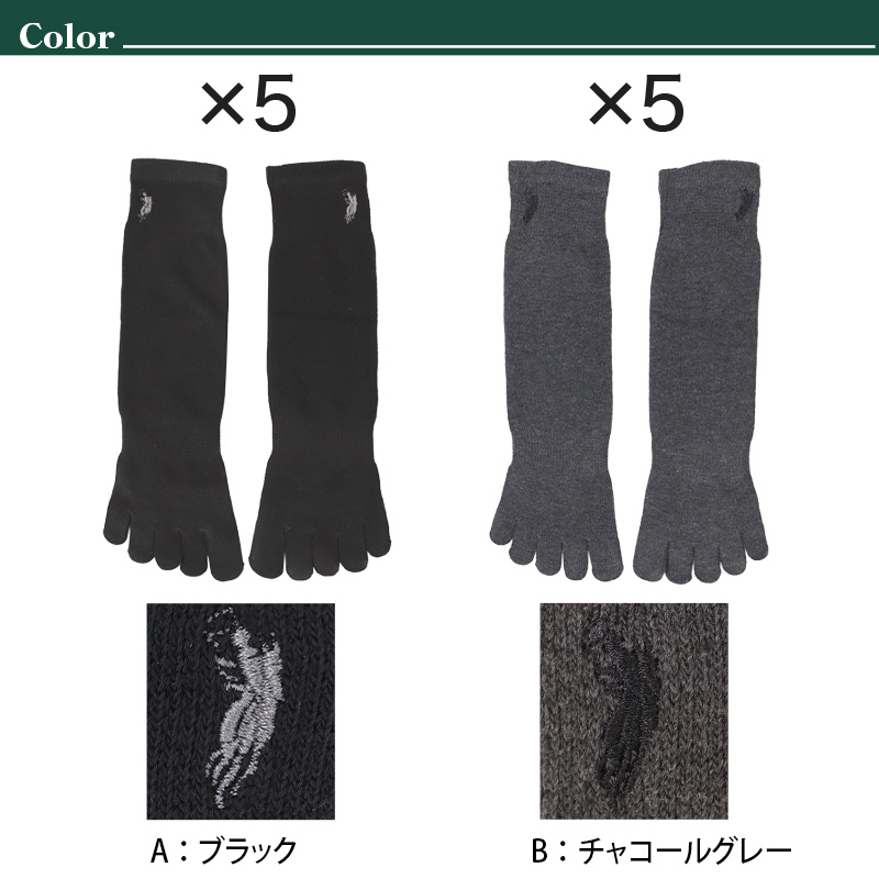 ビジネスソックス メンズ ソックス 5本指ソックス 紳士 POLO polo 25 26 27 cm 5本指 靴下 快適 フィット 無地 黒 ネイビー チャコール 仕事用 デイリー 普段使い プレゼント 父の日 ワンポイント