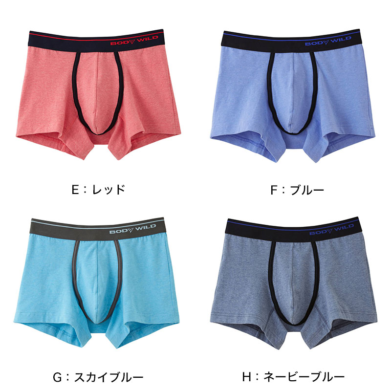 グンゼ トランクス メンズ 綿100% 前開き M~LL (下着 パンツ 布帛トランクス 前あき 男性 インナー GTホーキンス GUNZE) (在庫限り)
