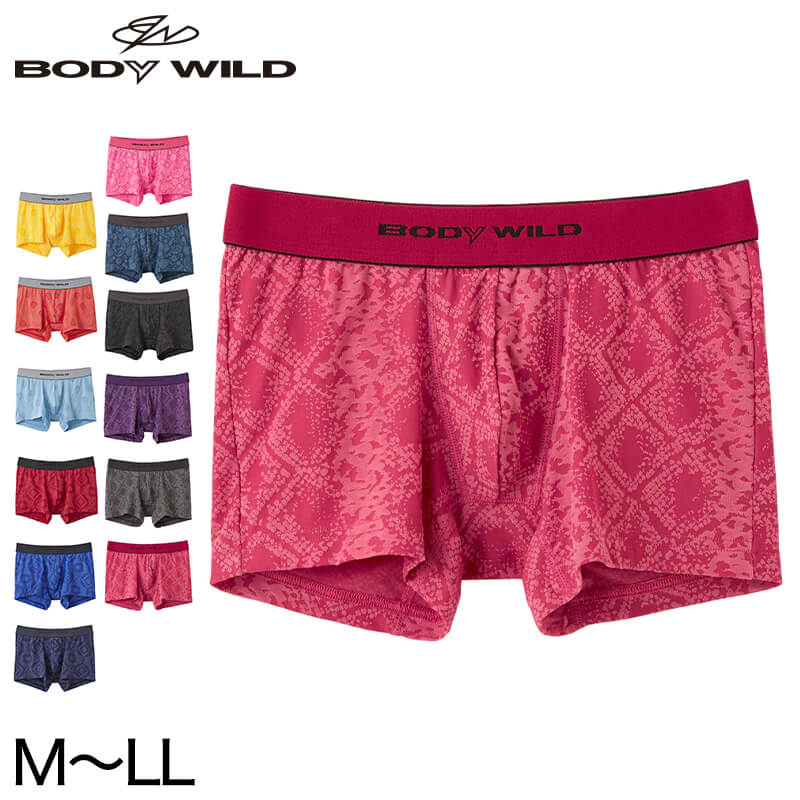 グンゼ ボディワイルド ボクサーパンツ メンズ インナー 下着 BodyWild M～LL (GUNZE BODYWILD 男性 紳士 メンズボクサー ボクサーブリーフ インナーウェアー カジュアル 前とじ M L LL) (在庫限り)