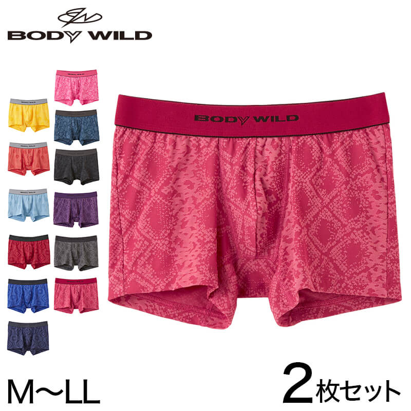 グンゼ ボディワイルド ボクサーパンツ メンズ インナー 下着 BodyWild 2枚セット M～LL (GUNZE BODYWILD 男性 メンズボクサー ボクサーブリーフ インナーウェアー カジュアル 前とじ M L LL) (在庫限り)