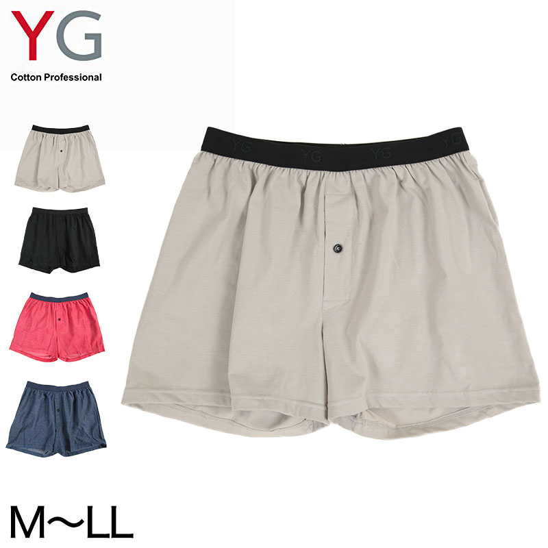 グンゼ ボディワイルド メッシュ ボクサーパンツ メンズ 下着 BodyWild M~LL (GUNZE BODYWILD メンズボクサー 吸汗速乾 男性 下着 紳士 肌着 インナーウェアー ブリーフ シンプル 前とじ メッシュ 冷感 M L LL) (在庫限り)