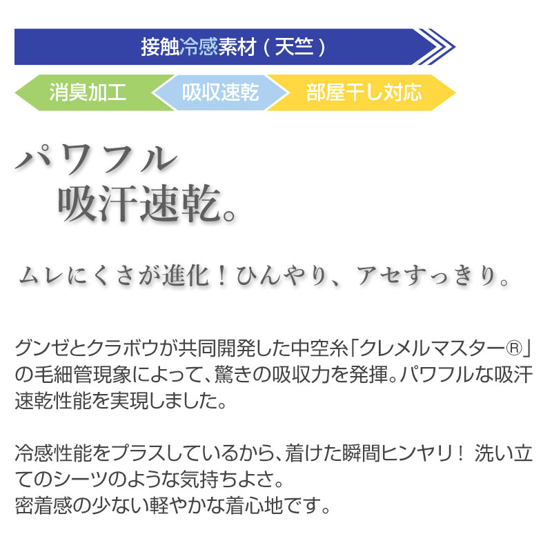 グンゼ ボディワイルド ボクサーパンツ メッシュ メンズ 前閉じ M L bodywild ボクサーブリーフ 夏 吸汗速乾 メッシュ 汗 ドライ パンツ ブリーフ ワイルド 派手 クール プリント アンダーウェア 下着 肌着 インナー 通気性抜群