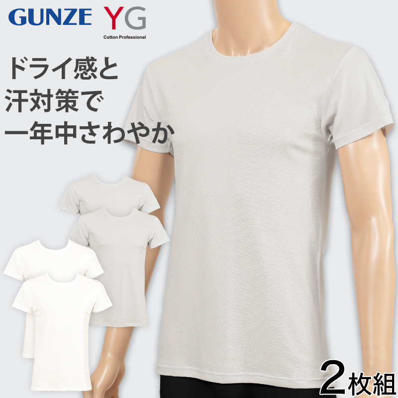 グンゼ YG Tシャツ メンズ クルーネックTシャツ tシャツ 2枚組 M～LL (GUNZE 男性 紳士 下着 肌着 半袖 インナー 吸汗速乾 ムレ緩和 抗菌防臭 ニオイ対策 M L LL)