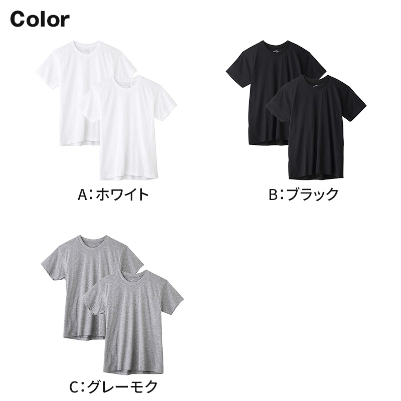 アセドロン スリーブレス 大きな汗取り付き インナー メンズ シャツ vネック 鹿の子 グンゼ M L LL ノースリーブ 脇汗 下着 肌着 夏 タンクトップ ランニング 吸汗速乾 消臭 v首 GUNZE gunze tシャツ プレゼント ギフト 父の日