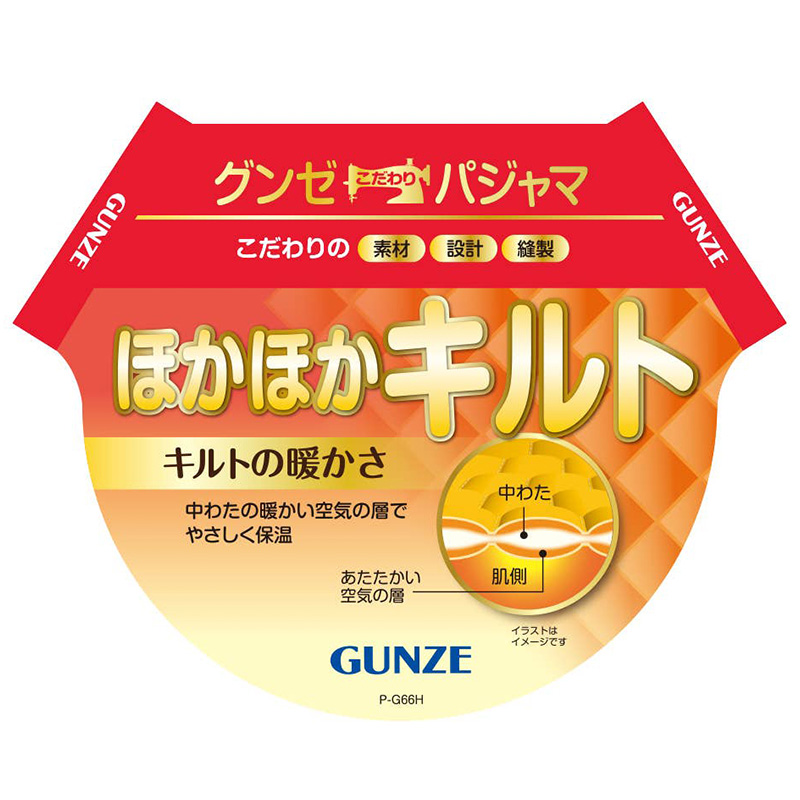 アセドロン ソックス レディース フットカバー 丈 靴下 グンゼ 22 23 24 cm くるぶし カバー 見えない 吸汗速乾 消臭 黒 白 灰 赤 GUNZE gunze プレゼント ギフト くつ下 くつした
