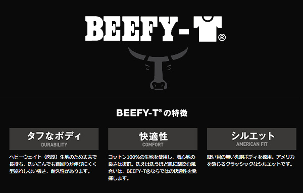 ヘインズ ビーフィー Tシャツ 2枚組 メンズ hanes beefy S～XL Hanes 綿100% インナー 半袖 無地 2枚セット 下着 肌着 セット コットン 男性 紳士 S M L LL