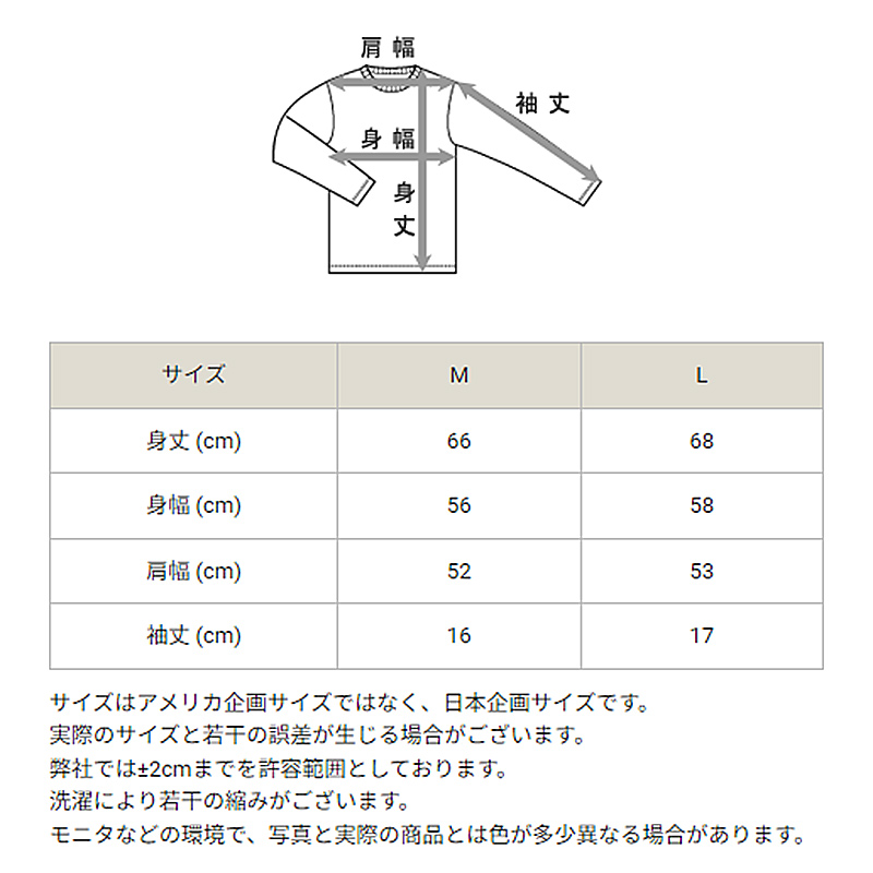 Champion Tシャツ レディース 半袖 婦人 ウエア シャツ トップス M L 吸汗 速乾 防臭 紫外線 ロゴ シンプル ジム