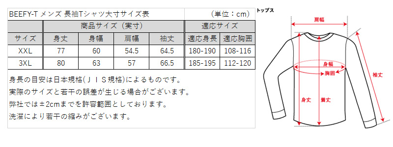 ヘインズ BEEFY-T ビーフィー メンズ 長袖Tシャツ2枚組 S~XL (Hanes トップス 綿100% クルーネック 男性 丈夫 無地 パックT