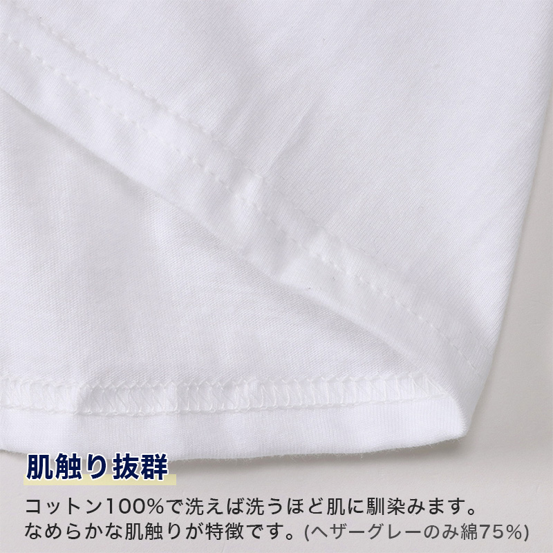 ヘインズ クルーネックTシャツ 3枚組 BIG 3L・4L (Hanes Global Value Line 綿100 インナー アンダーウェア 肌着 下着)